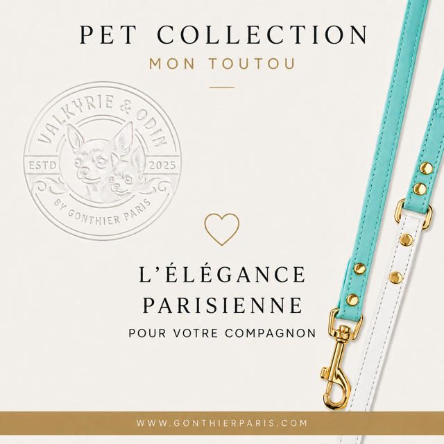 Choisir une laisse pour chien élégante